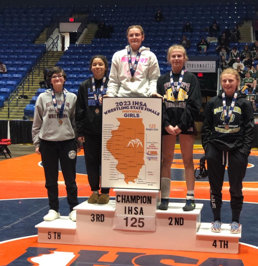 Madeline Bartusch placed 5th at IHSA State. 