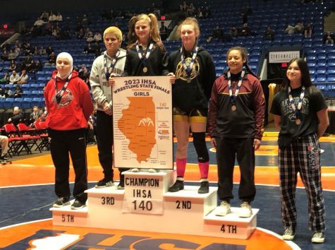 Junior Val Rodriguez placed 3rd at the IHSA State Tournament.