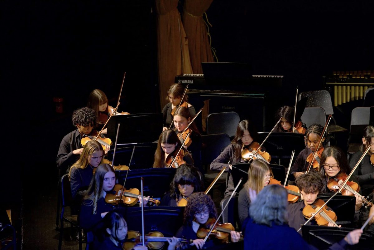Members of Philharmonic and Symphony Orchestras perform at the SHS fall concert.